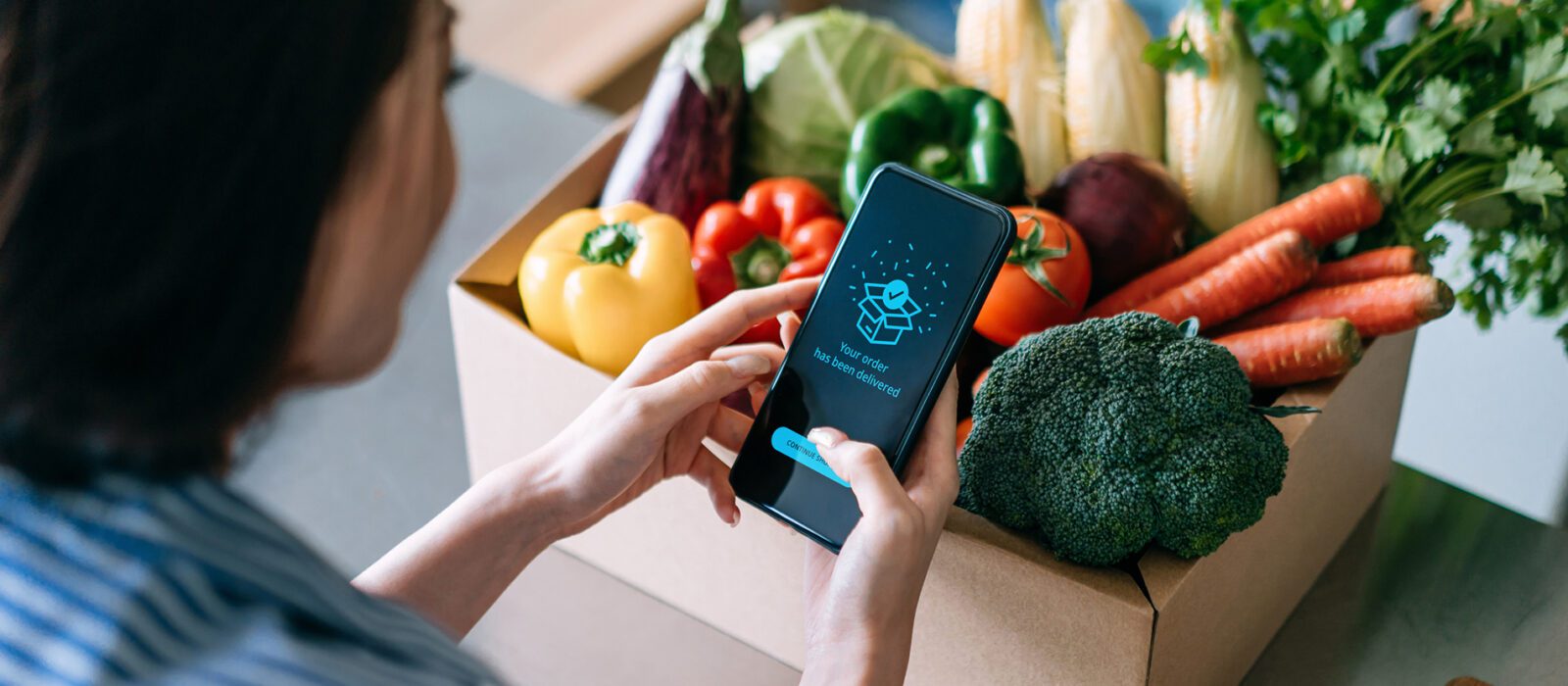 Person grocery shopping on smart phone.