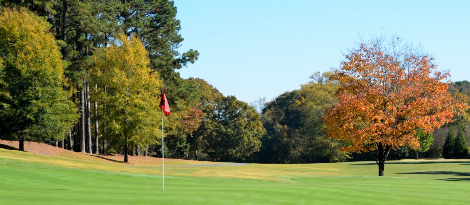 Golf green with the pin in the foreground and a tree with orange leaves off to the right in the background.